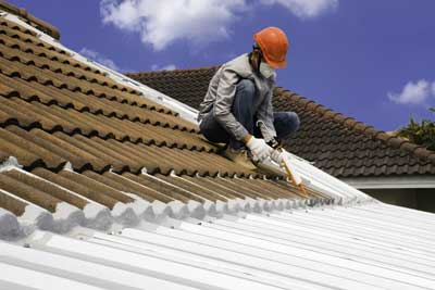 Professional Roofing Contractor Professional Roofing Contractor